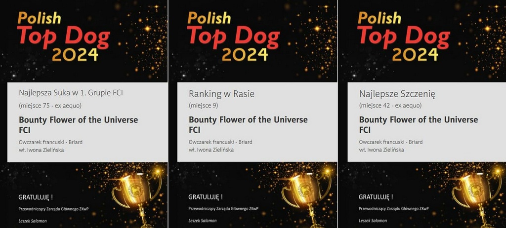 bountyranking