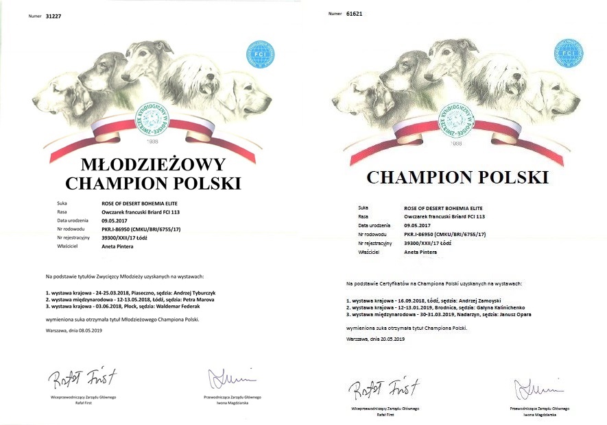 rosechampionat